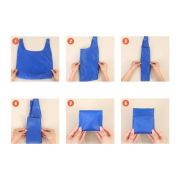 EASY Foldable Nylon Shopping Bag