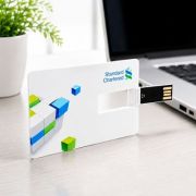 Chipset USB Flash Drive – 8GB