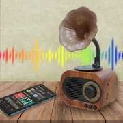 Gramophone Vintage Bluetooth Speaker with FM Radio – 1200mAh