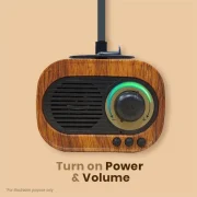 Gramophone Vintage Bluetooth Speaker with FM Radio – 1200mAh