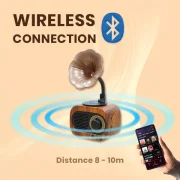 Gramophone Vintage Bluetooth Speaker with FM Radio – 1200mAh